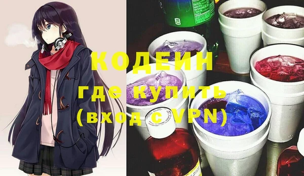 МДПВ Великий Новгород