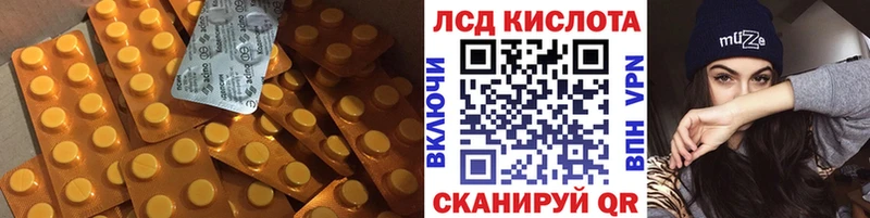 ЛСД экстази ecstasy  где можно купить   Гаджиево 