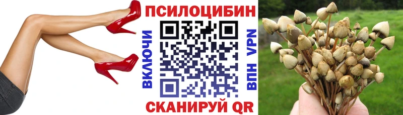 наркота  Гаджиево  Галлюциногенные грибы Magic Shrooms 